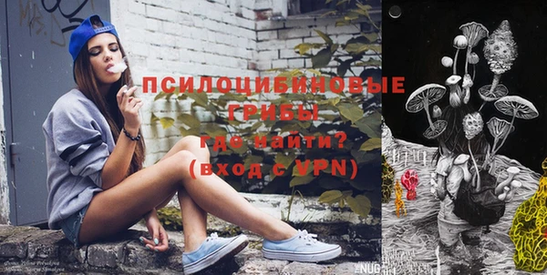 кокс Богородицк
