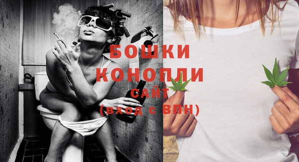 кокс Богородицк