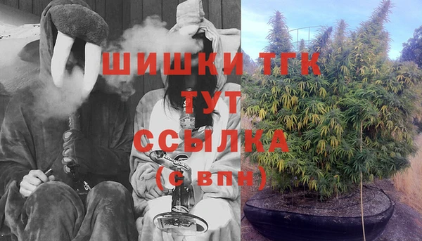 кокс Богородицк