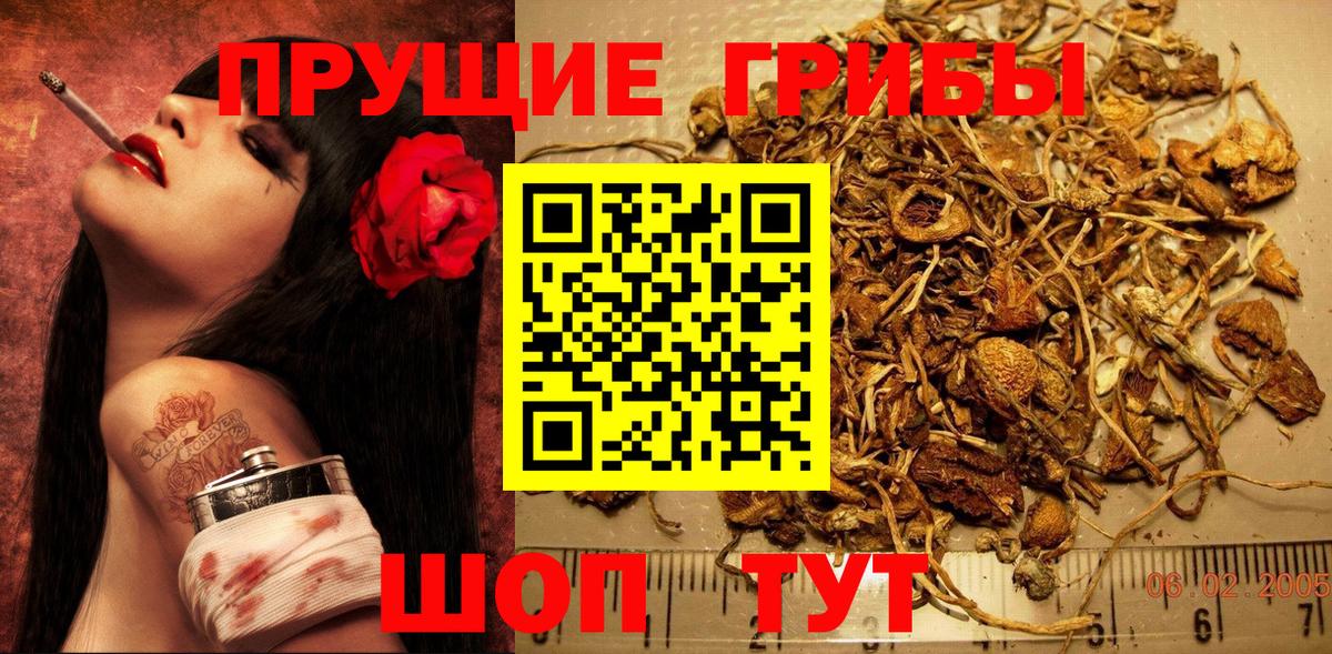 Псилоцибиновые грибы MAGIC MUSHROOMS  Галлюциногенные грибы GOLDEN TEACHER  Вход с VPN  Наро-Фоминск 